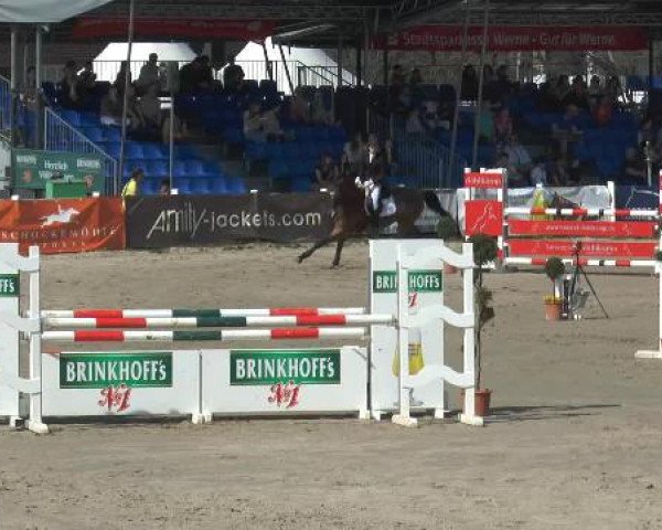 Lenklarer Reitertage 2015