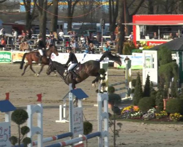 Lenklarer Reitertage 2015