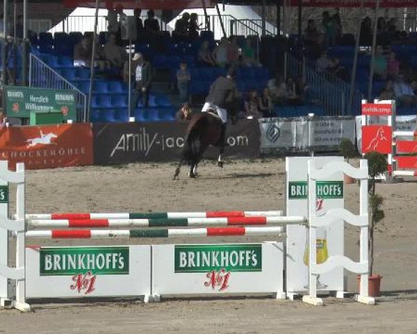 Lenklarer Reitertage 2015
