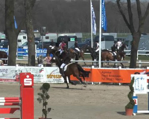 Jezdecký turnaj Werne-Lenklar 2015