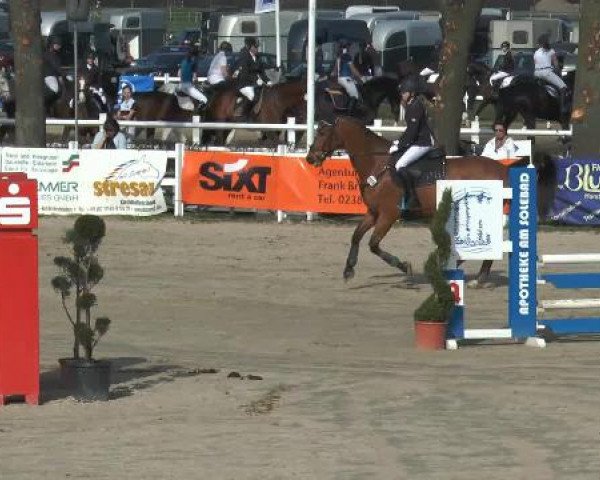 Reitturnier Werne-Lenklar 2015