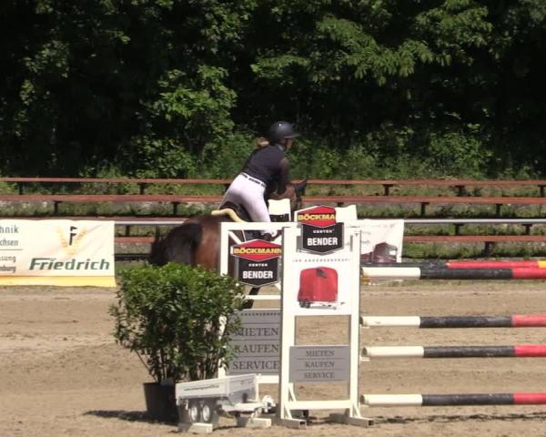 Reitturnier Lgl.-Oberhain, B95 2026