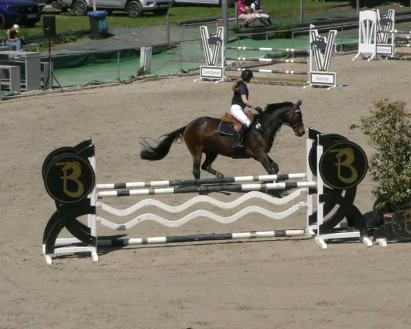 Torneio Equestre Harsum-Hüddessum 2026