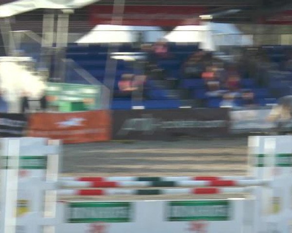Lenklarer Reitertage 2015