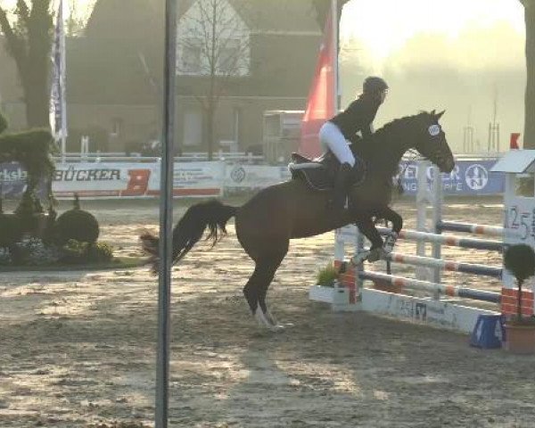 Lenklarer Reitertage 2015