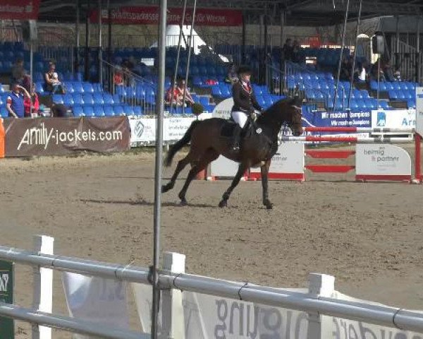 Lenklarer Reitertage 2015