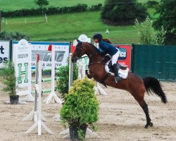 Springpferd L'Ementa vd Moorskeshoeve (Belgisches Reitpony, 2007, von Lamento III)