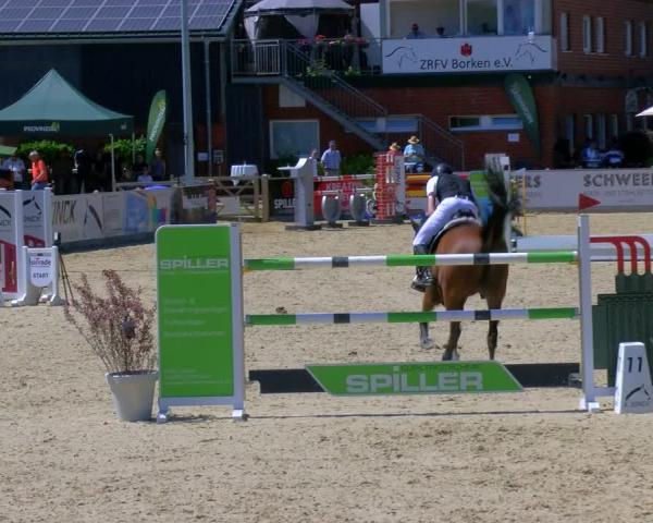 Rideturnering Borken 2026