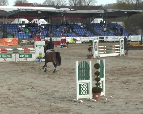 Lenklarer Reitertage 2015