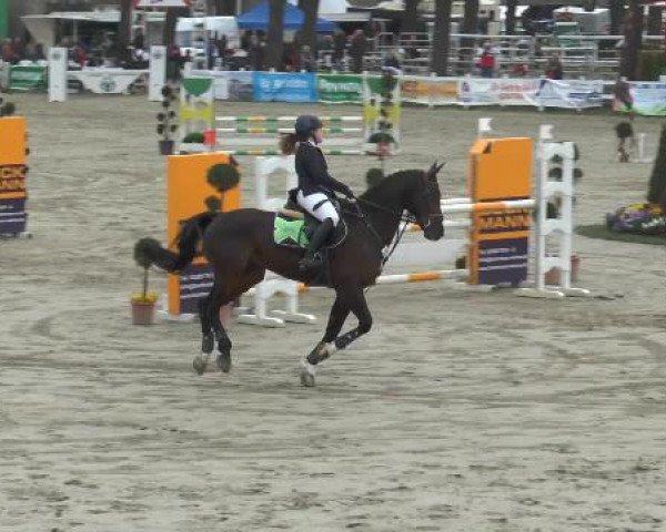 Reitturnier Werne-Lenklar 2015