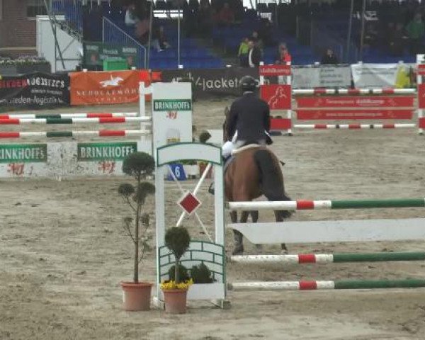 Lenklarer Reitertage 2015