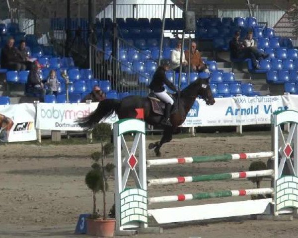 Lenklarer Reitertage 2015