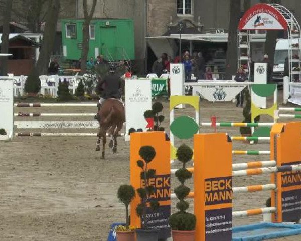 Lenklarer Reitertage 2015
