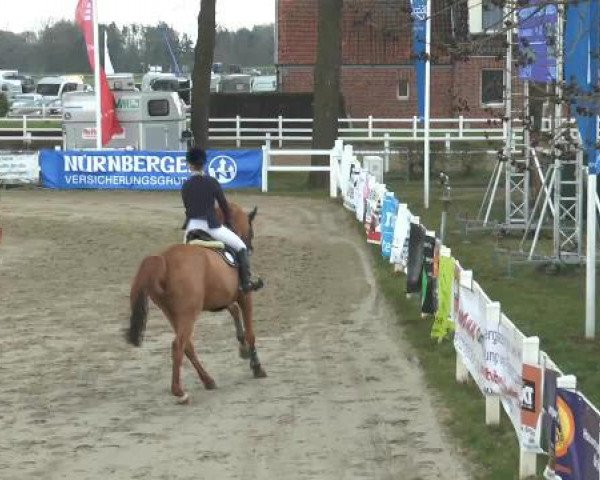 Lenklarer Reitertage 2015