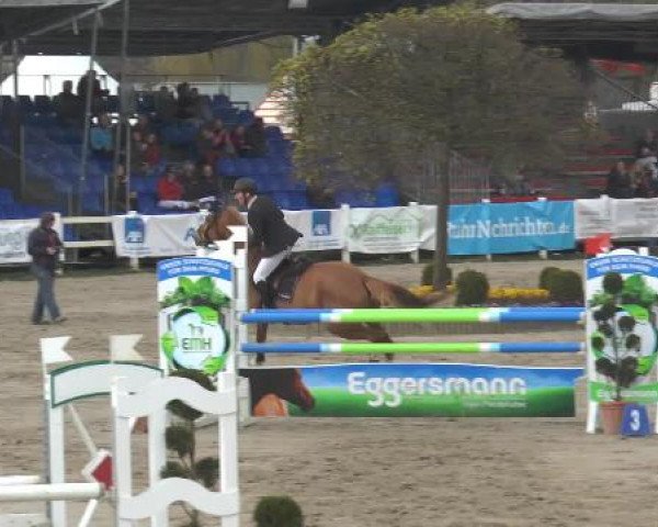 Reitturnier Werne-Lenklar 2015