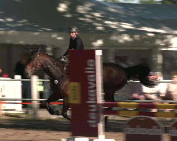 Torneo Equestre Mettingen 2026