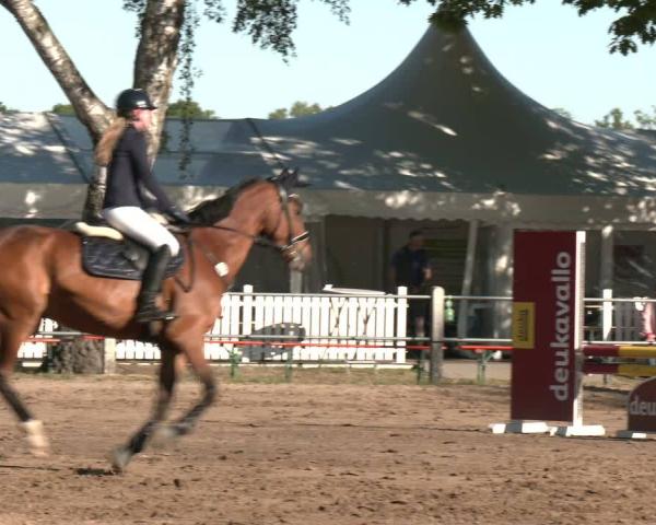 Turniej Jeździecki Mettingen 2026