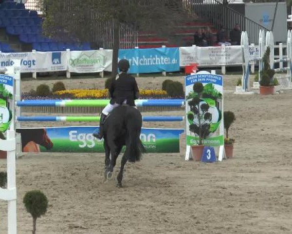 Reitturnier Werne-Lenklar 2015