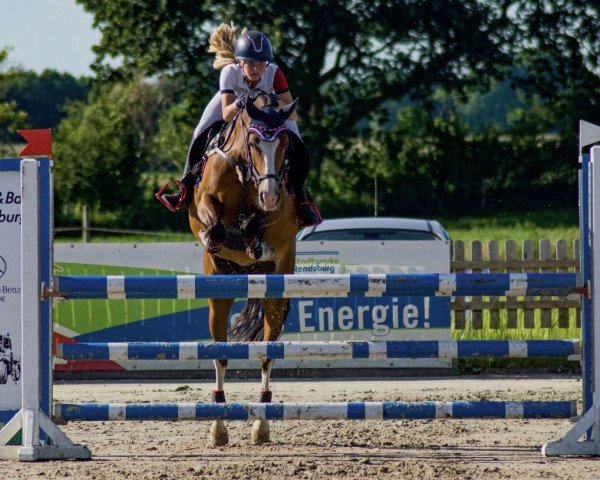 Springpferd Mississippi 39 (Deutsches Reitpony, 2010, von Maerchenprinz II GH)
