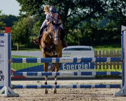 jumper Mississippi 39 (German Riding Pony, 2010, from Maerchenprinz II GH)