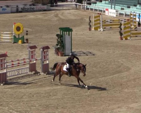 Balve-Wocklum Regio 2015