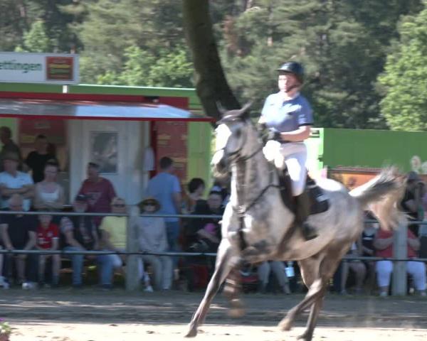 Rideturnering Mettingen 2026
