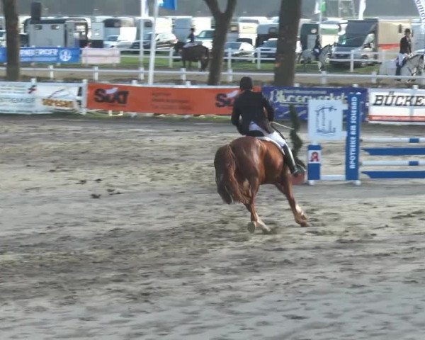 Reitturnier Werne-Lenklar 2015