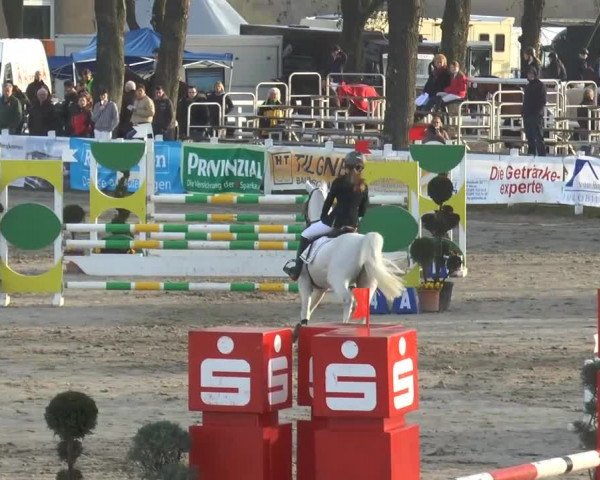Reitturnier Werne-Lenklar 2015