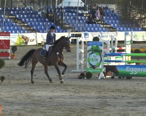 Lenklarer Reitertage 2015