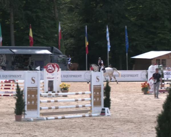 Torneo Equestre Ranshofen - Braunau am Inn 2026