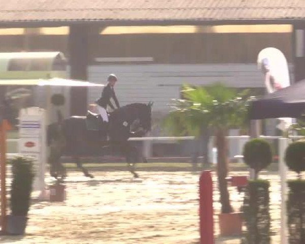 Eröffnung der grünen Saison Bottrop 2015