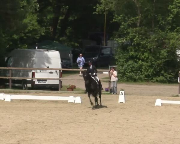 Torneo Ecuestre Iserlohn-Kalthof, RV Letmathe 2026