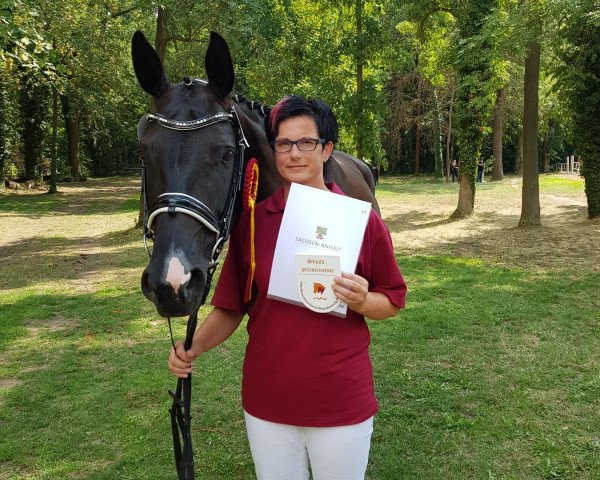 broodmare Bella 1095 (Hanoverian, 2013, from Bodyguard 49)