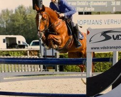 jumper Kaspar van Orchid's (Nederlands Rijpaarden en Pony, 2013, from Kanshebber)