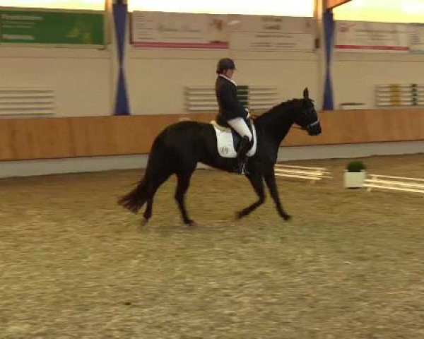 Eröffnung der grünen Saison Bottrop 2015