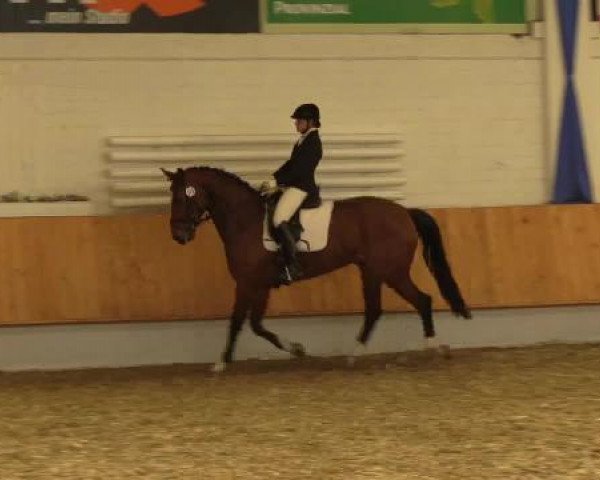 Eröffnung der grünen Saison Bottrop 2015