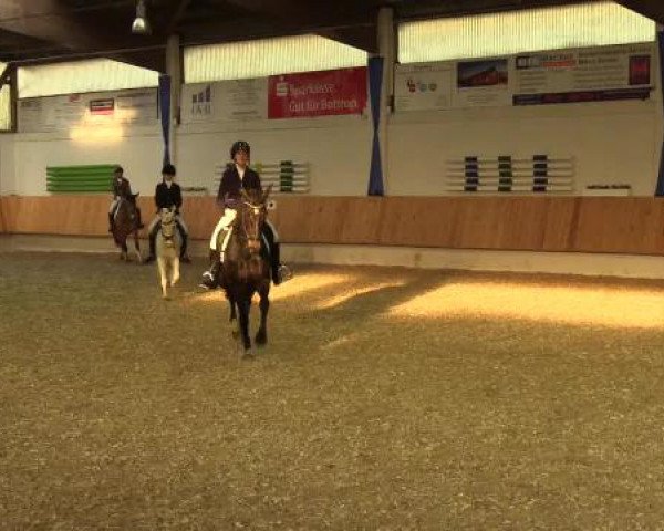 Eröffnung der grünen Saison Bottrop 2015