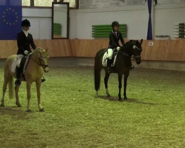 Eröffnung der grünen Saison Bottrop 2015