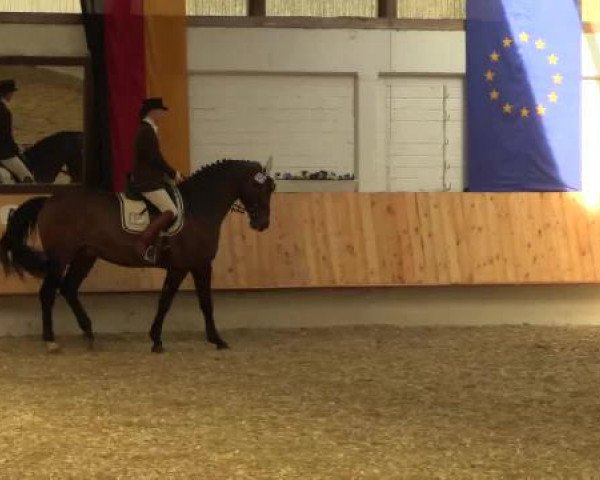 Eröffnung der grünen Saison Bottrop 2015