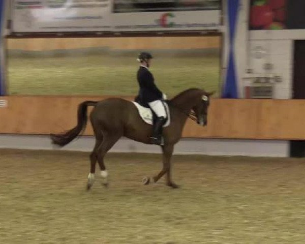 Eröffnung der grünen Saison Bottrop 2015