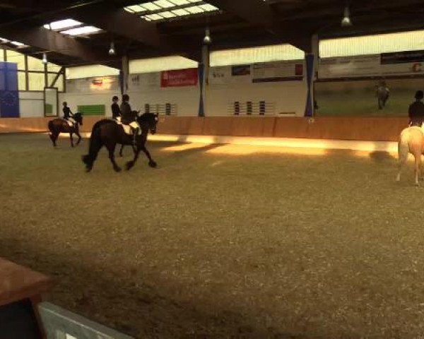 Eröffnung der grünen Saison Bottrop 2015