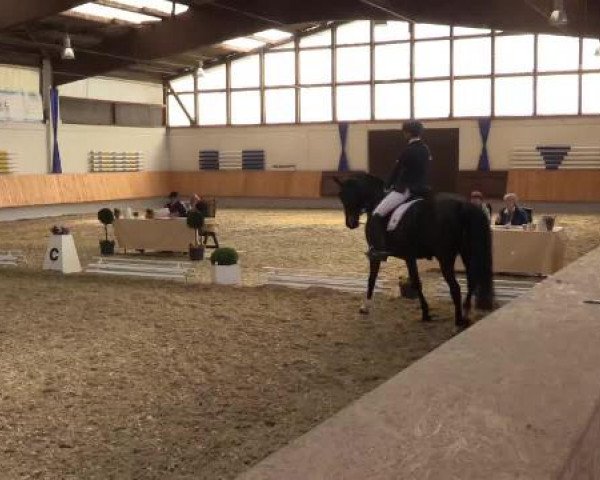 Eröffnung der grünen Saison Bottrop 2015