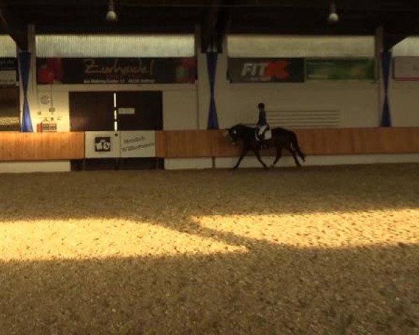 Eröffnung der grünen Saison Bottrop 2015