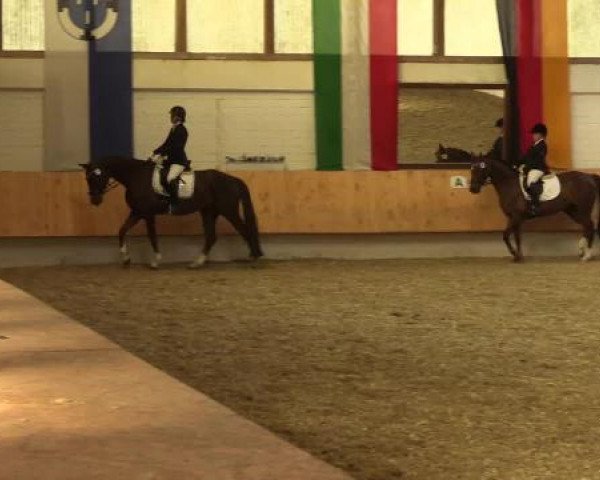 Eröffnung der grünen Saison Bottrop 2015