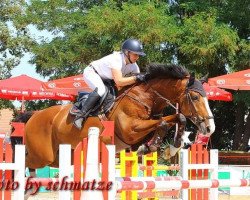 jumper LIONHEART'S LUIGI (German Sport Horse, 2011, from Lionheart)