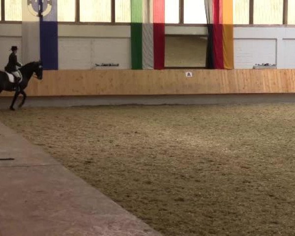 Eröffnung der grünen Saison Bottrop 2015