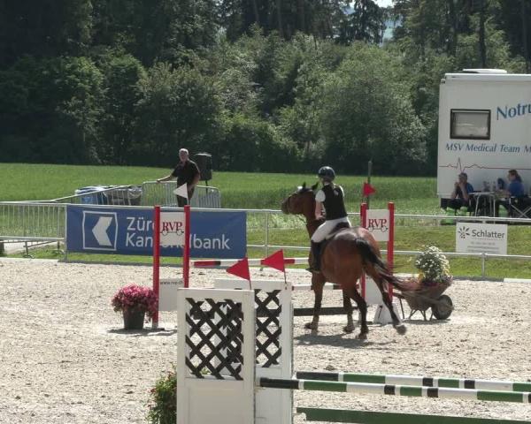 Reitturnier Meilen 2026