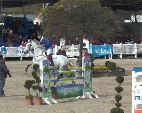 Lenklarer Reitertage 2015