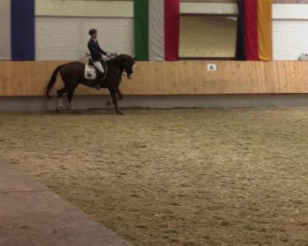 Eröffnung der grünen Saison Bottrop 2015