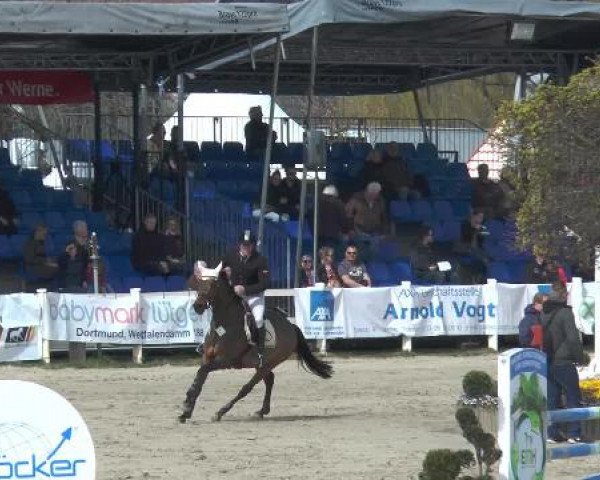 Lenklarer Reitertage 2015